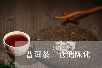 普洱茶 仓储陈化/2023041044835